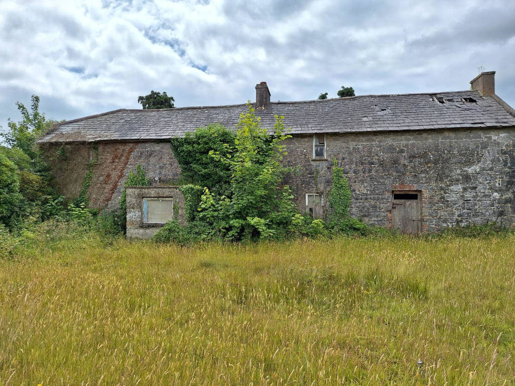 Mountminnet, Caherline, Caherconlish