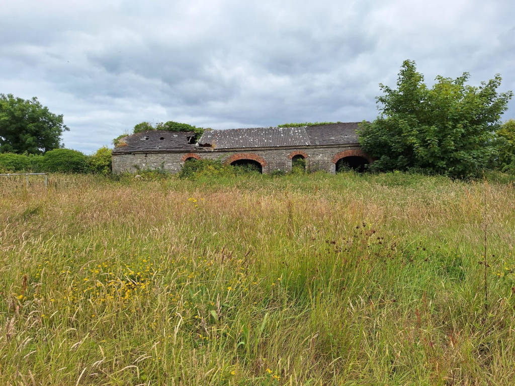 Mountminnet, Caherline, Caherconlish